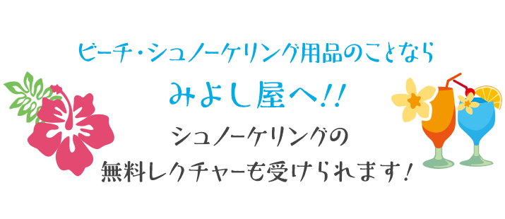 さざえのつぼやきをはじめ、宮古島ならではのお食事も楽しめます！